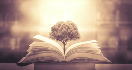 二郎山牛角河在哪里具体地址？