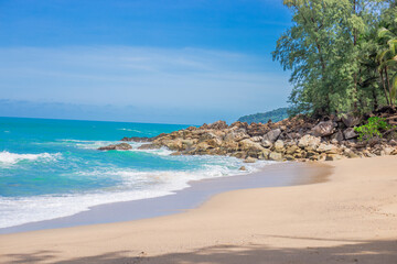 饥荒探测杖有什么用