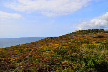 风采龟王电动车后轮轴承什么型号