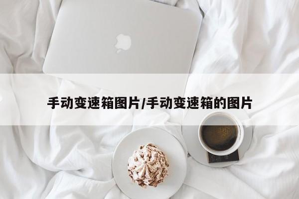 手动变速箱图片/手动变速箱的图片
