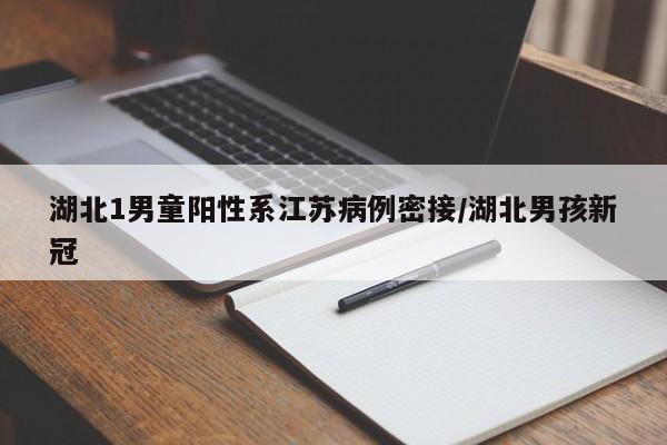 湖北1男童阳性系江苏病例密接/湖北男孩新冠