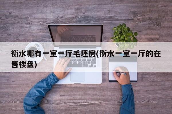 衡水哪有一室一厅毛坯房(衡水一室一厅的在售楼盘) 衡水哪有一室一厅毛坯房(衡水一室一厅的在售楼盘)